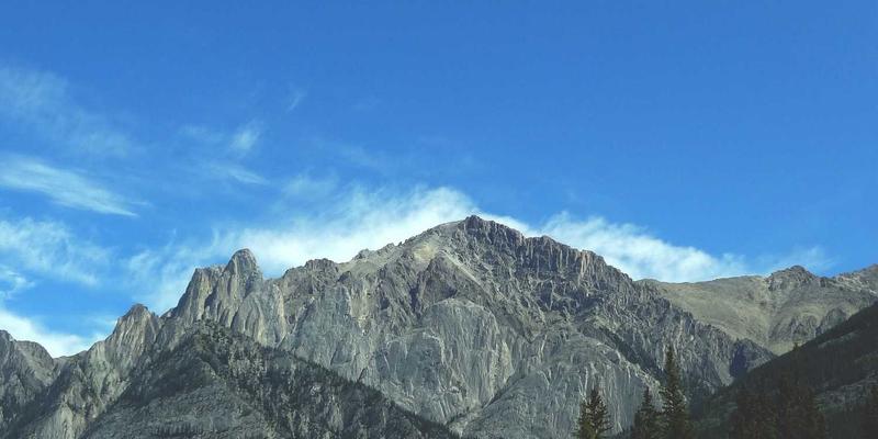 数字营销新引擎：电商直播带货的选品策略与供应链快速响应机制