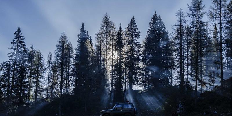 数据驱动的电商供应链金融：创新营销策略与数字营销如何为卖家破解资金困局