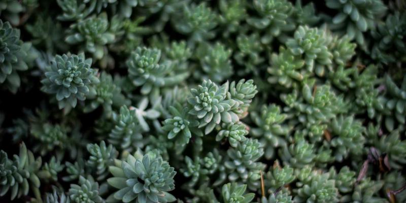 电商平台合规与税务筹划：跨境卖家必须掌握的网络营销法律风险与应对策略