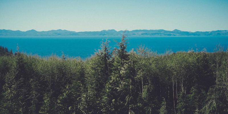 电商数据中台：打通多平台数据壁垒，赋能精细化营销策略与运营决策