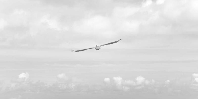 电商服务10：构建线上业务增长引擎的三大营销策略