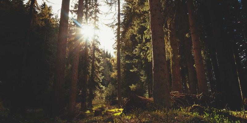 电商服务24：驱动线上业务持续增长的全天候解决方案