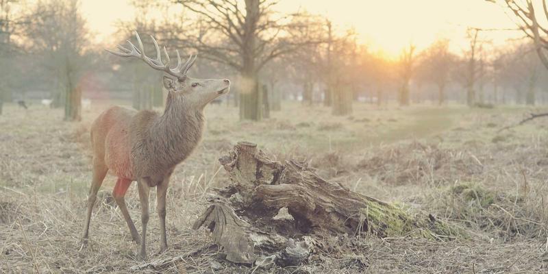 电商服务65：数字营销时代的核心策略与增长引擎