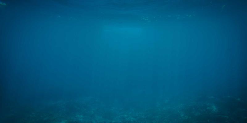 电商服务76：融合数字营销与创新策略的电子商务增长引擎