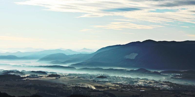 电商服务79：解锁电子商务新增长，线上业务与网络营销的融合之道