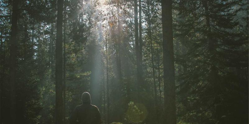 电商服务81：整合线上业务与数字营销，驱动企业增长新引擎