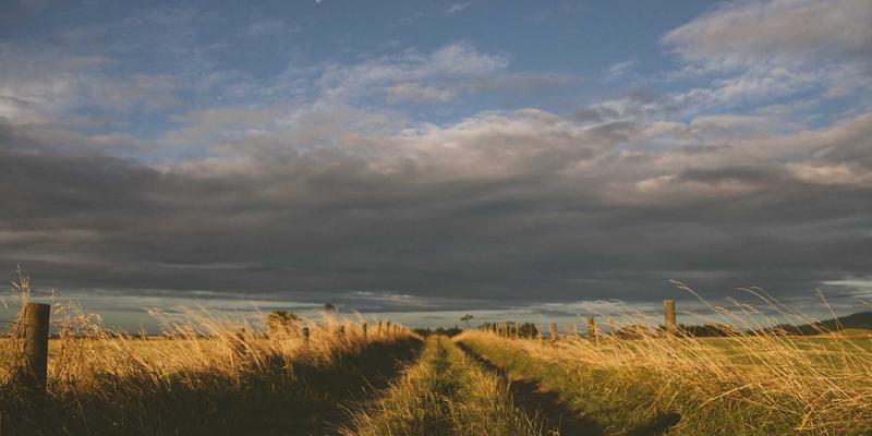 电商服务中的用户体验地图绘制：以营销策略优化线上业务购物旅程