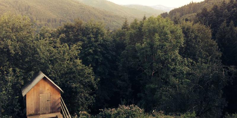 电商视觉营销与详情页优化：如何通过A/B测试提升线上业务转化率