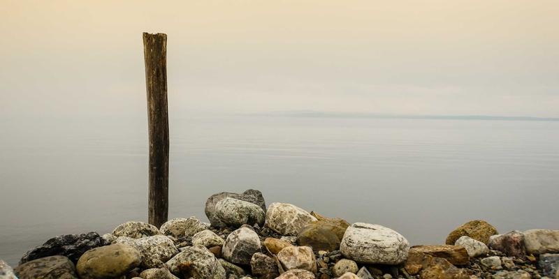 电子商务品牌化转型：从流量思维到品牌忠诚度的网络营销新路径