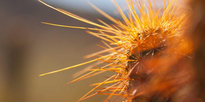 跨境电商支付解决方案：如何通过智能网关集成降低拒付率，驱动数字营销增长