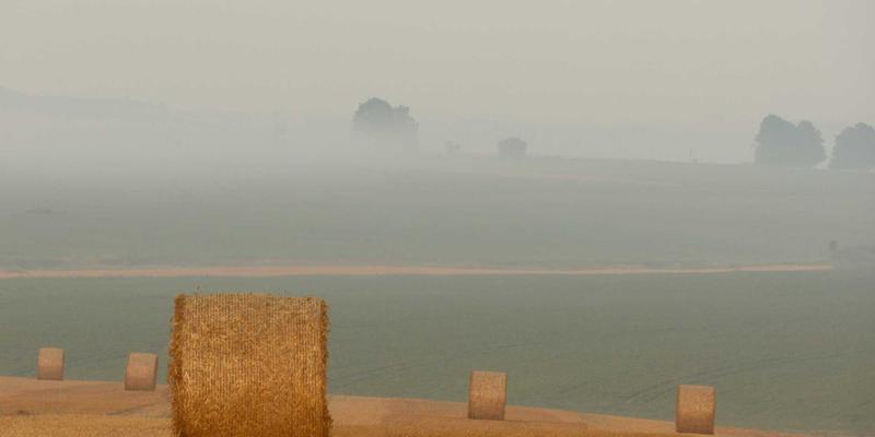 跨境电商独立站SEO全攻略：从技术优化到内容策略的本地化实践